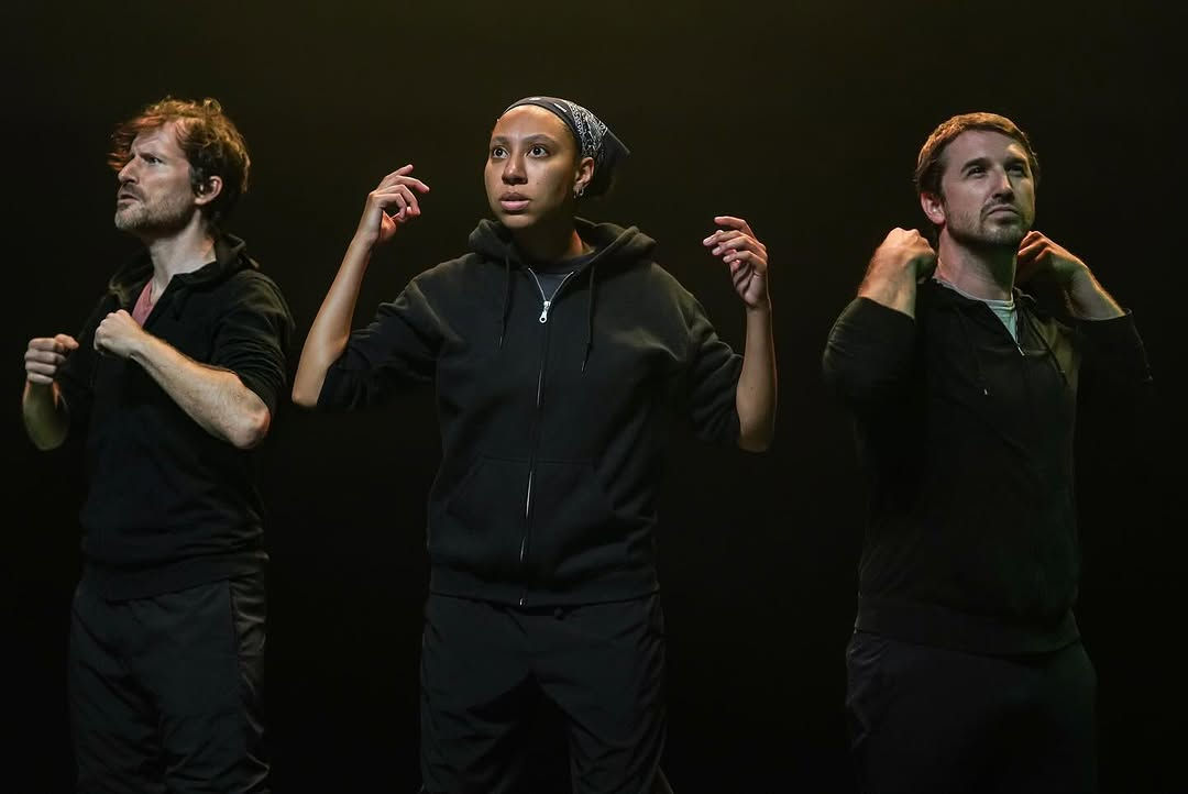 Fly You Fools gallery image 1